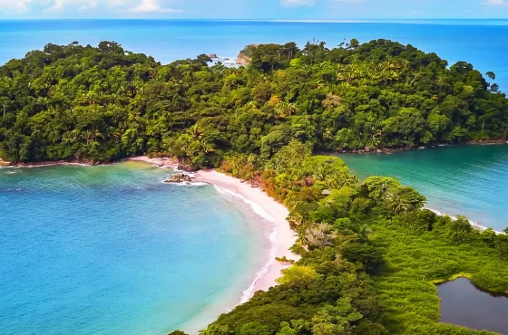 Manuel Antonio National Park Tour